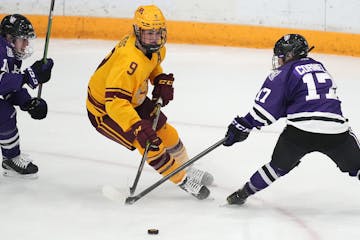 Gophers forward Taylor Heise took the puck around St. Thomas defenseman Megan Cornell in the first period of a game last month.