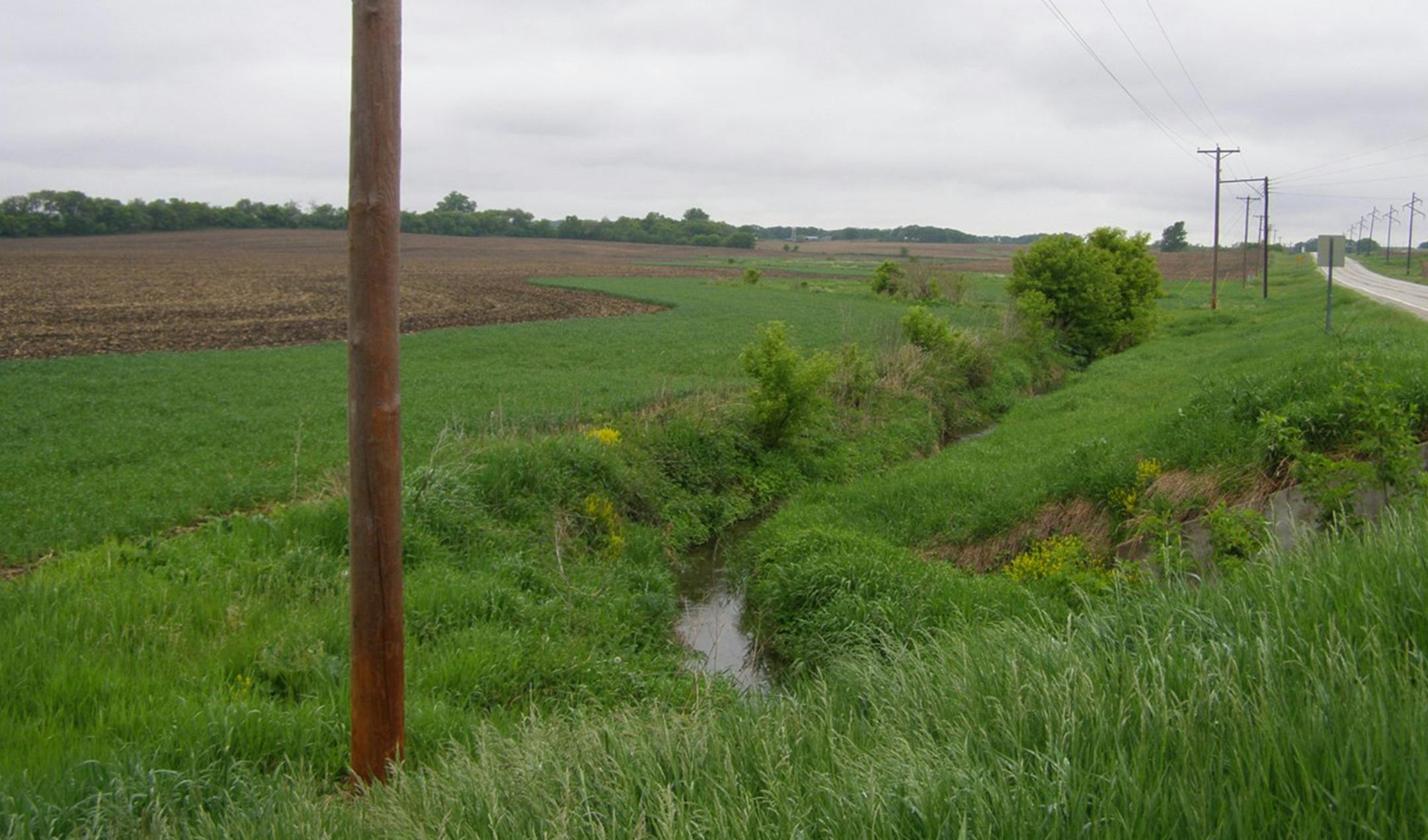 A perennnial crop such as alfalfa planted between the exposed farm field on the left and the roadside waterway illustrates the type of buffer proposed for statewide implementation by Gov. Mark Dayton.