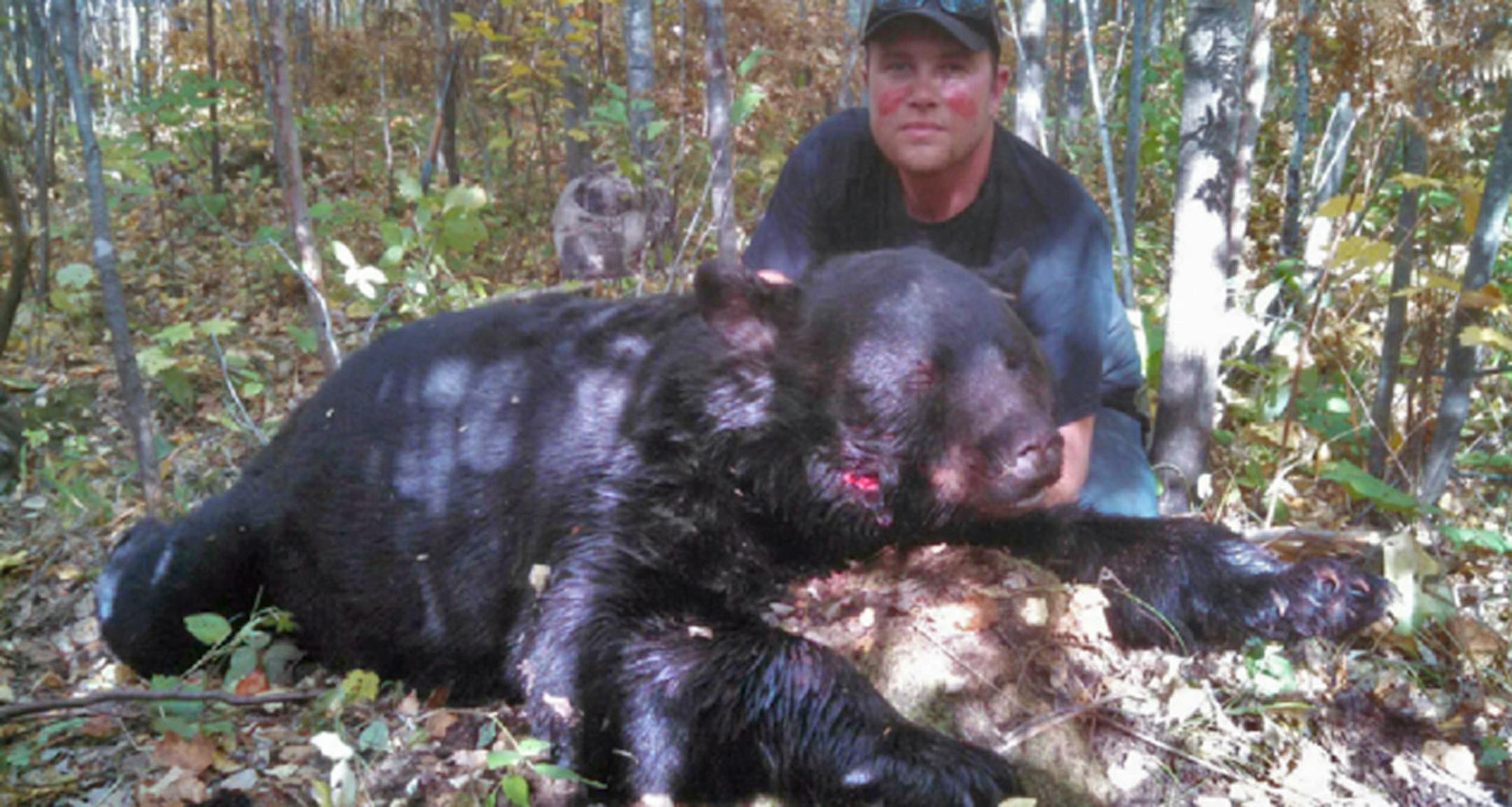 Trevor Nowack with the bear that attacked his friend, Brandon Johnson, after Nowack shot it while archery hunting in Pine County. The bear weighed more than 500 pounds.
