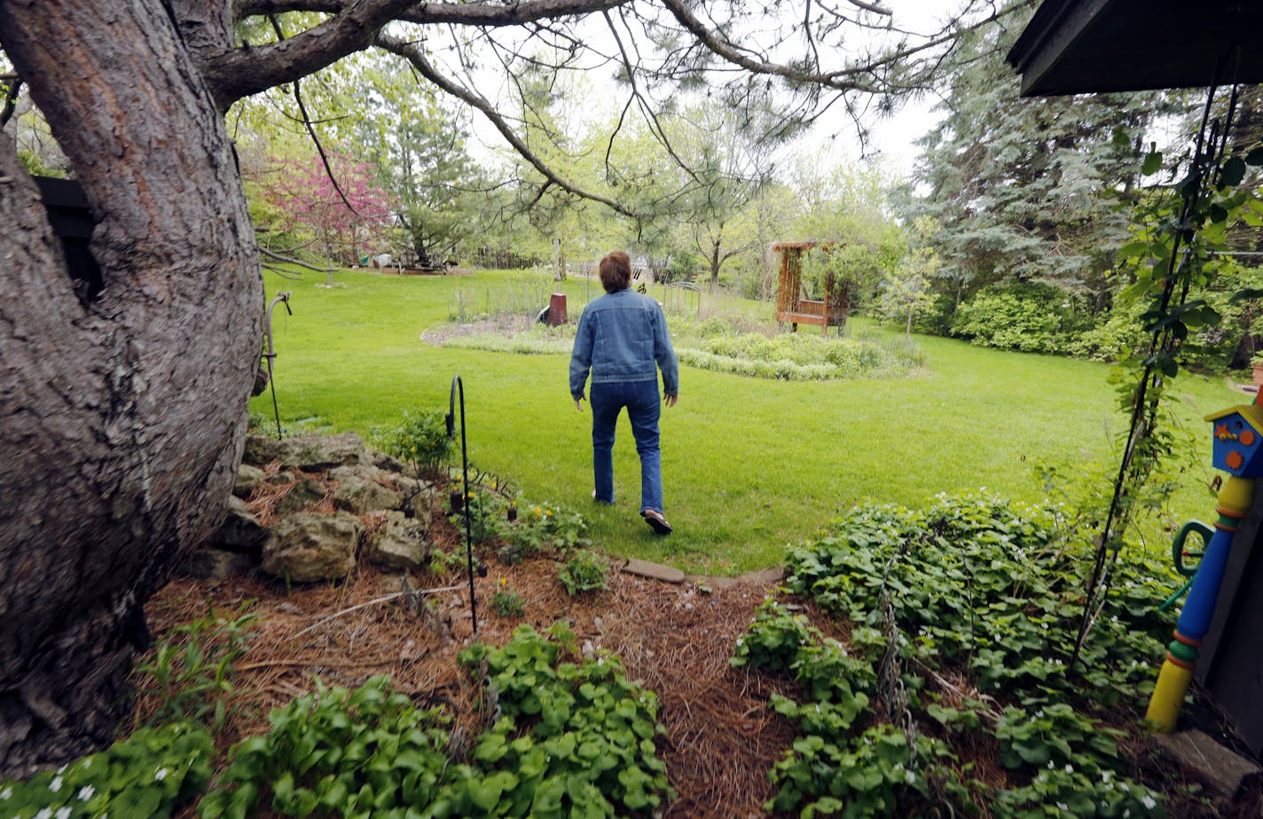 Pat Stevesand's yard and gardens attract Monarch and American Lady butterflies, hummingbirds, bees and other pollinators in summer. She likes it that way. That's why she has planted native plants. ] Brian.Peterson@startribune.com Burnsville, MN - 5/12/2015