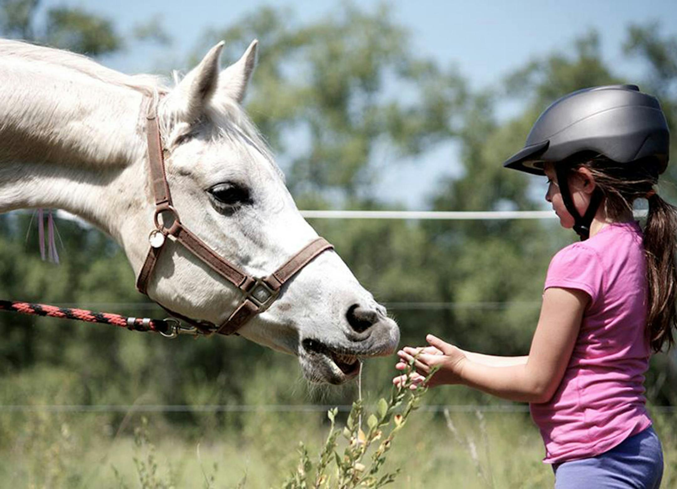 Photo by Emmy Thompson HHH Ranch summer camp.