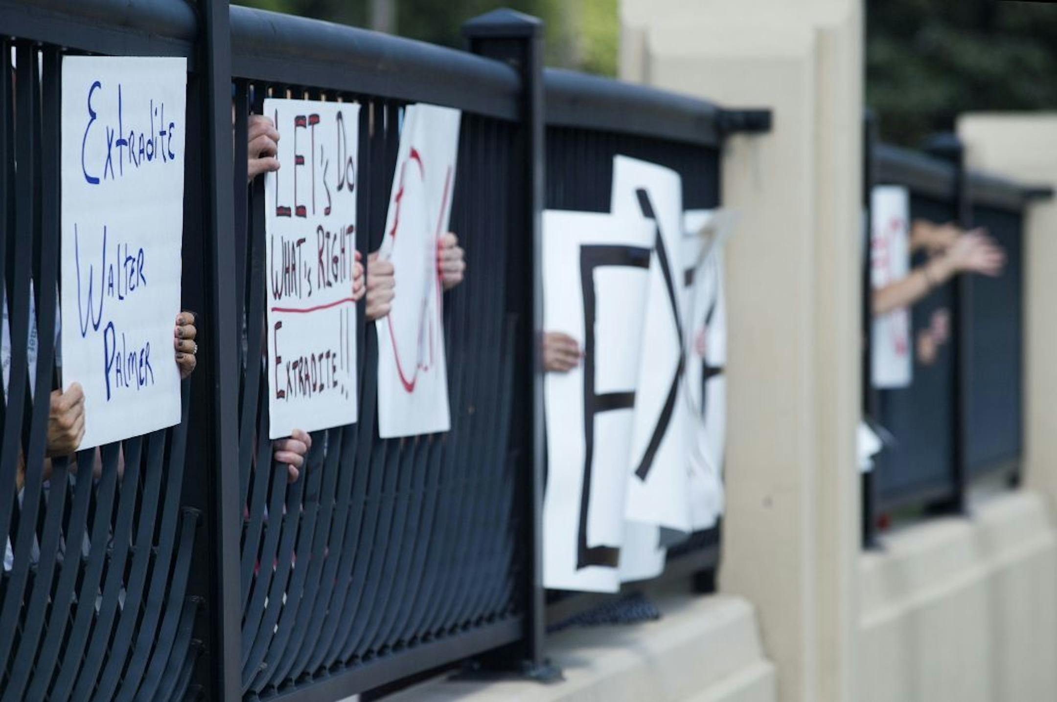 People protested against Dr. Walter J. Palmer, the dentist who killed Cecil the lion, on the 46th Street overpass in Minneapolis, Minn. on Friday August 7, 2015.