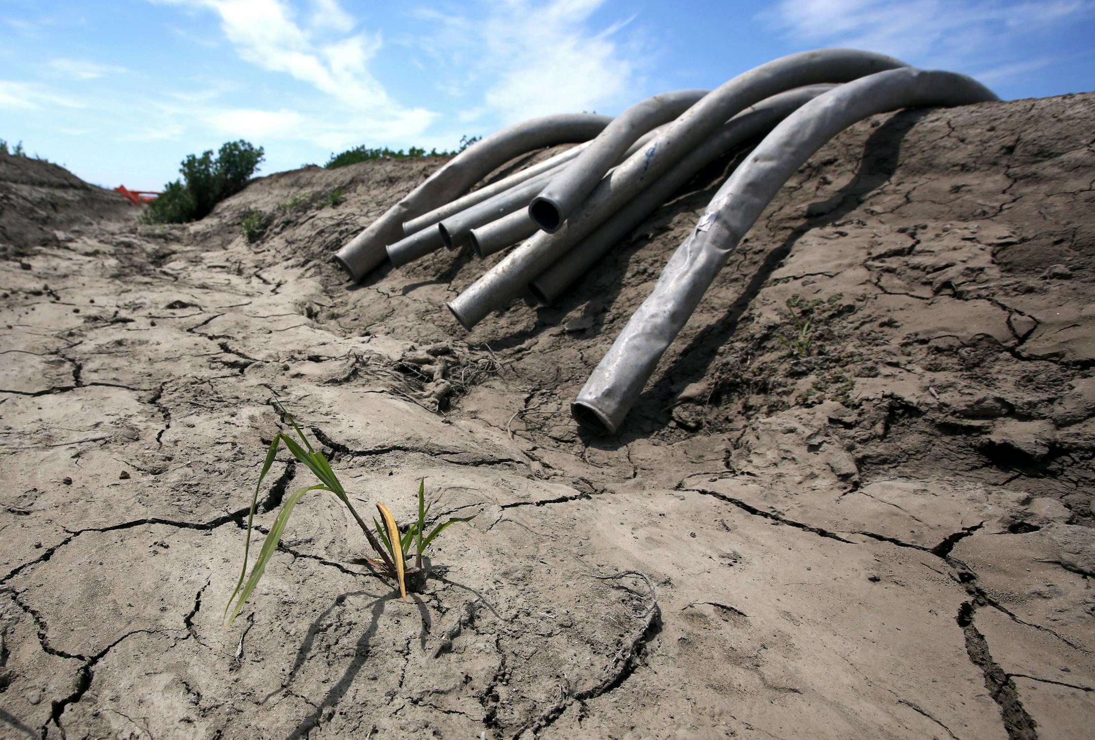 FILE - In this May 18, 2015 file photo, irrigation pipes sit along a dried irrigation canal on a field farmed by Gino Celli, who relies on senior water rights to water his crops, near Stockton, Calif. When water gets scarce and the government slaps restrictions on its use, farmers should be first in line at the spigot, according to an Associated Press-GfK poll released Monday, Aug. 3, 2015. (AP Photo/Rich Pedroncelli, File)