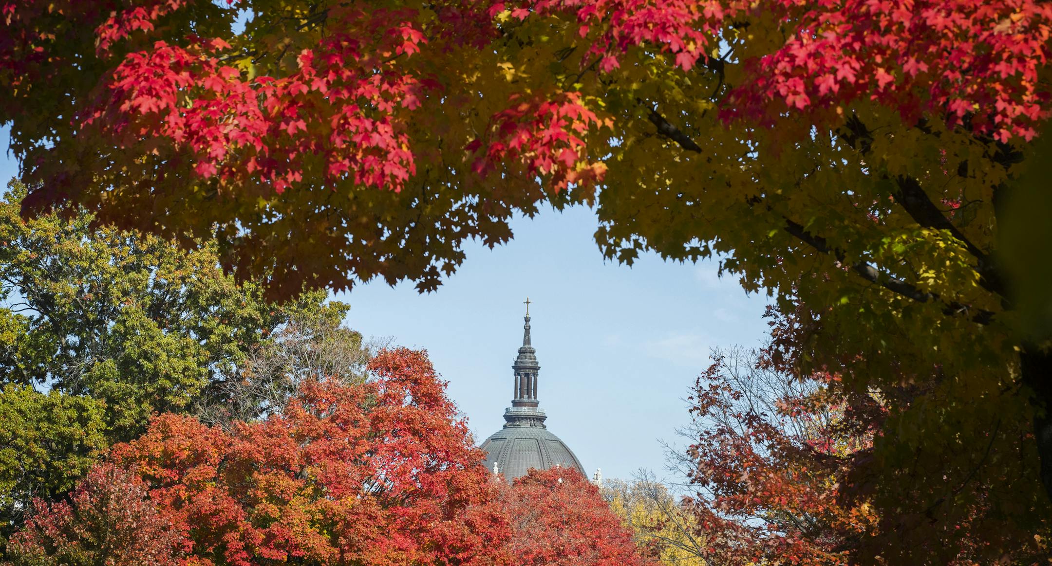 The Cathedral of St. Paul is framed by fall foliage seen from Summit Avenue in St. Paul. ] (Leila Navidi/Star Tribune) leila.navidi@startribune.com BACKGROUND INFORMATION: The fall colors on Summit Avenue in St. Paul on Wednesday, October 19, 2106.