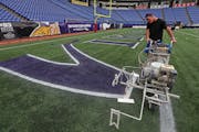 Wayne Enger of the Metrodome grounds crew outlined the Vikings endzone letters with a spray painter, during the first painting of the field Tuesday fo