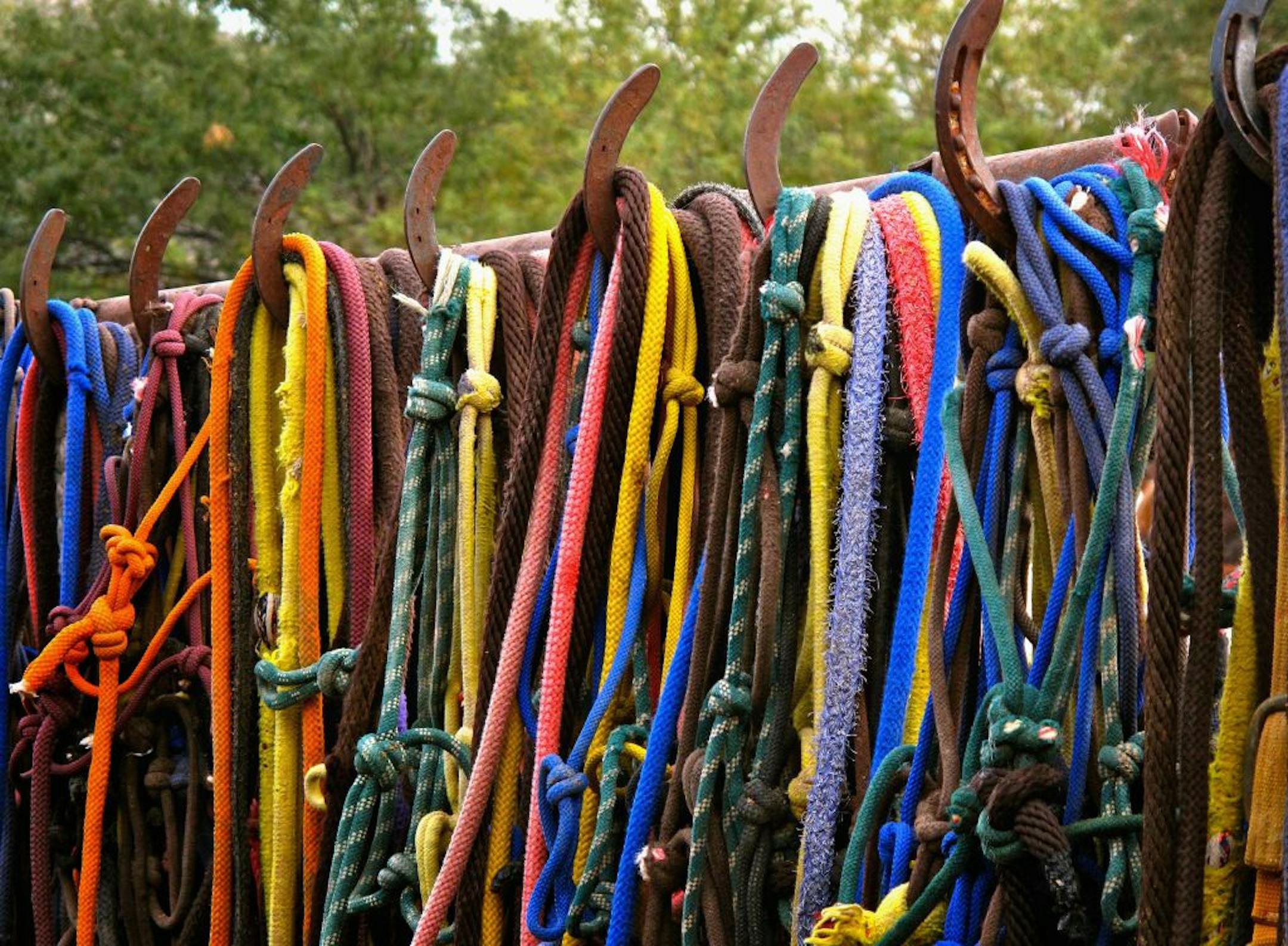 Several wrangles manage the tack for more than 180 riding horses at Tanque Verde Ranch.
