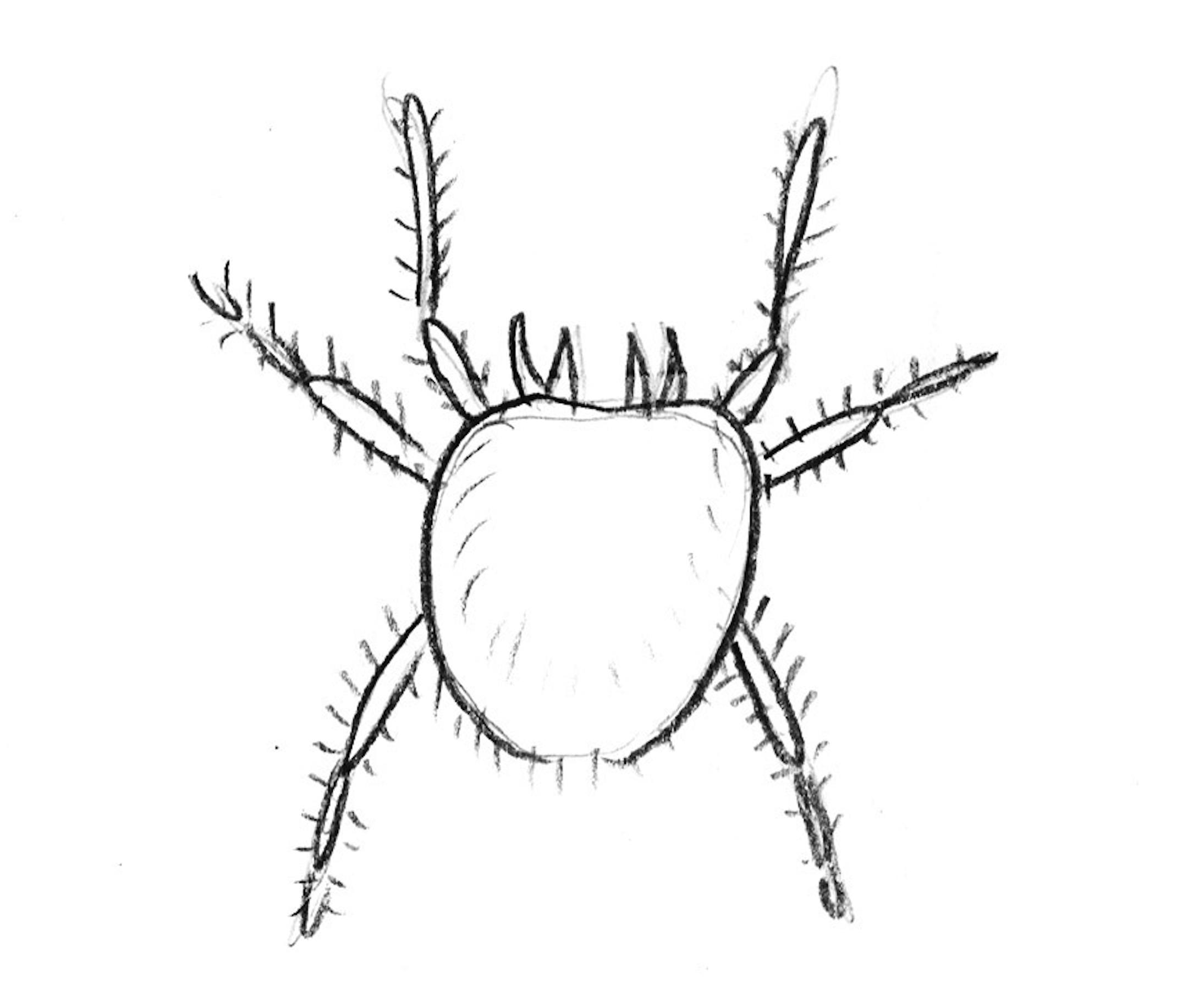 Illustration for Variety's package "Bites of Summer." CHIGGER