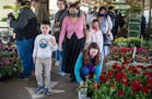 At the Minneapolis Farmers Market in Minneapolis, MN on May 29, 2021, shoppers enjoy the fresh produce and plants for sale. ]RICHARD TSONG-TAATARII ¥