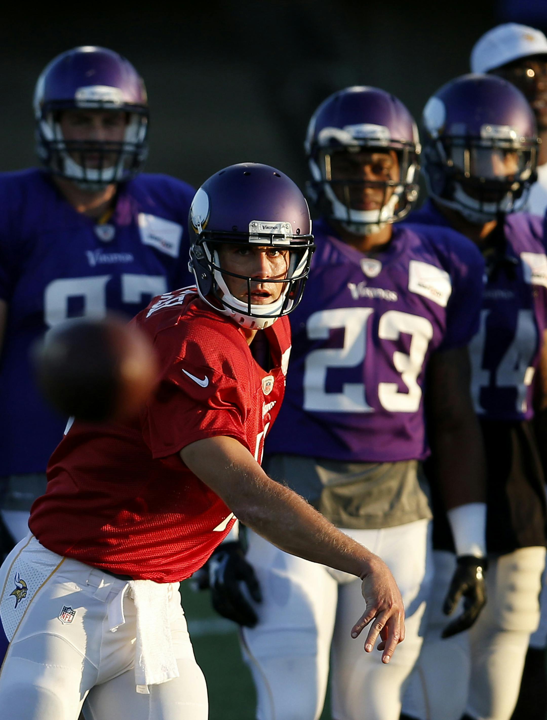 Minnesota Vikings quarterback Matt Cassel