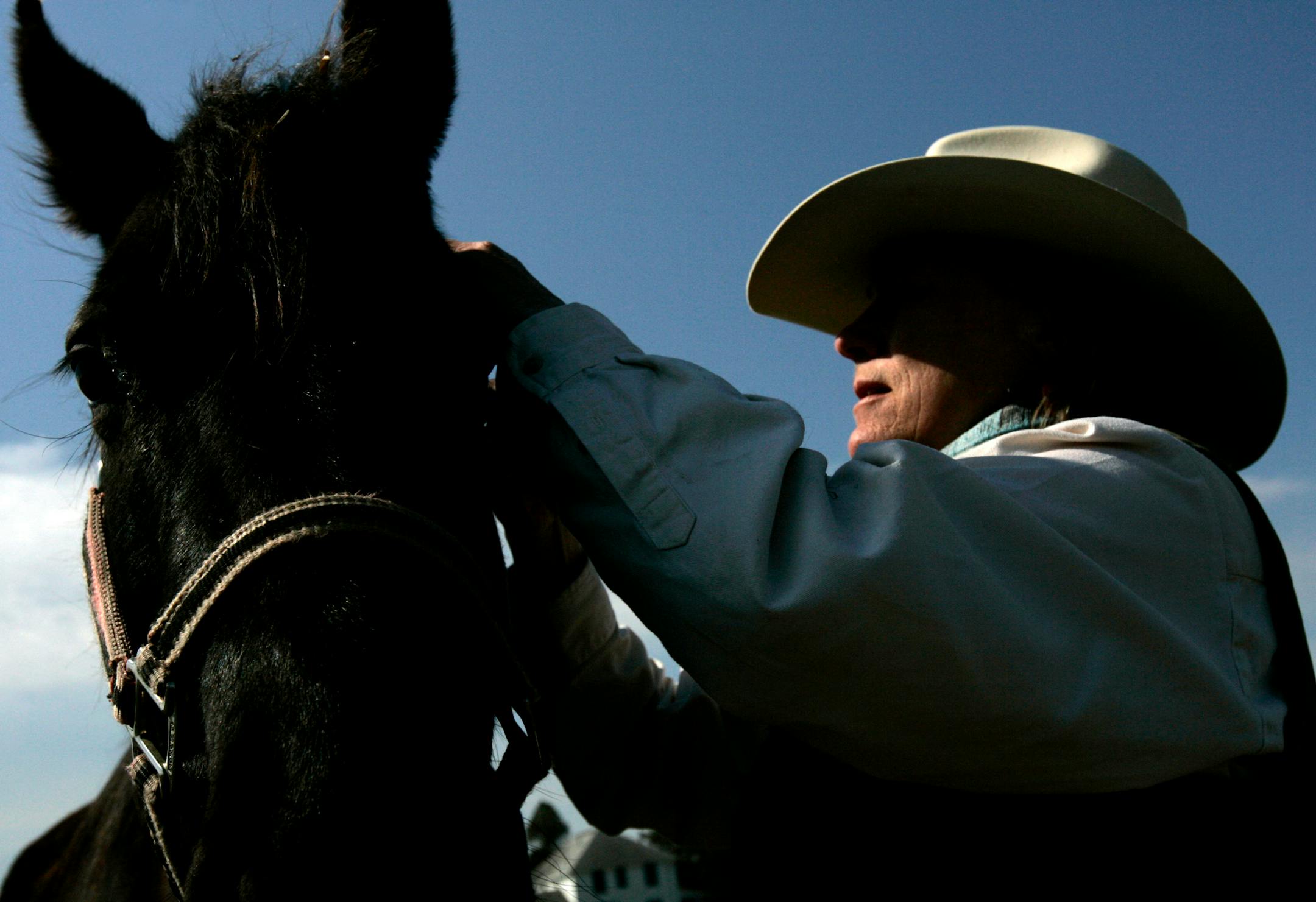 Pat Wagner of Inner Grove Heights adjusted the halter of one of the horses at Acres for Life Ranch in Chisago Township.