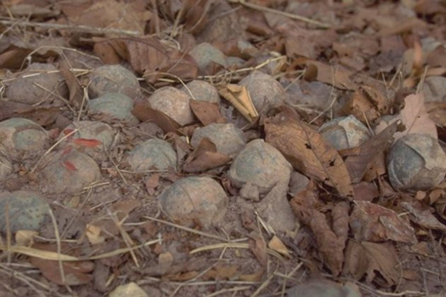 Unexploded cluster munitions in Laos (Lao National Unexploded Ordnance Programme)