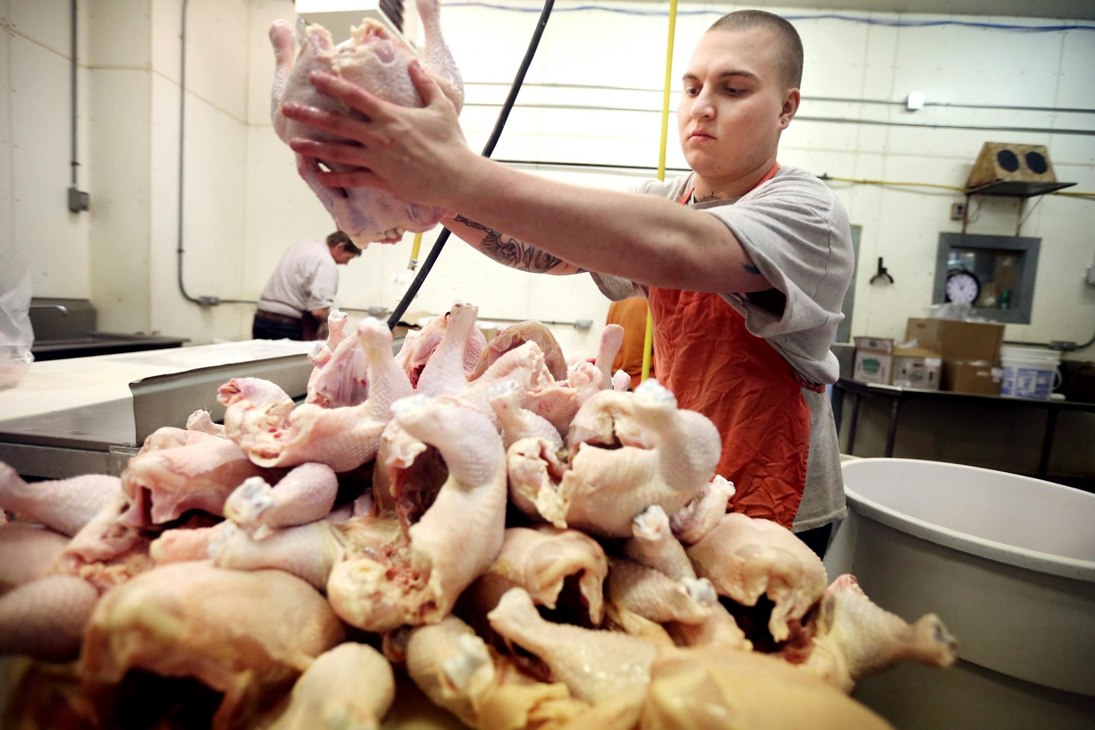 Zach Malich an inmate at the Northeast Regional Corrections Center gathered chickens to be butchered. Inmates at the Northeast Regional Corrections Center butcher chickens and pigs mostly to eat later in the week for lunch. A few lawmakers want to turn that loose program into a certification-granting curriculum with the idea that it will help the men get jobs and, more broadly, respond to a shortage of butchers.