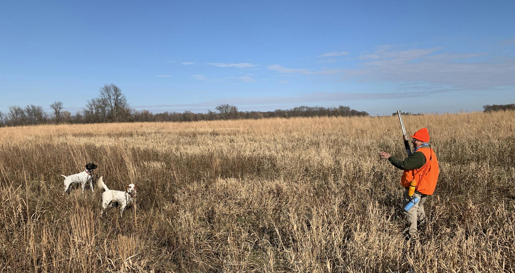 Loral I Delaney approached an unseen pheasant that her German shorthair, Reagan, and English setter, Clooney, have scented and pointed during a recent training exercise. The noted dog trainer and world champion trapshooter from Ramsey first appeared at the Northwest Sportshow with a hunting dog act when she was 5 years old.