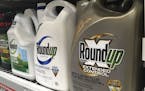 FILE - This Feb. 24, 2019 file photo shows containers of Roundup weed killer are displayed on a store shelf in San Francisco. A federal court jury has