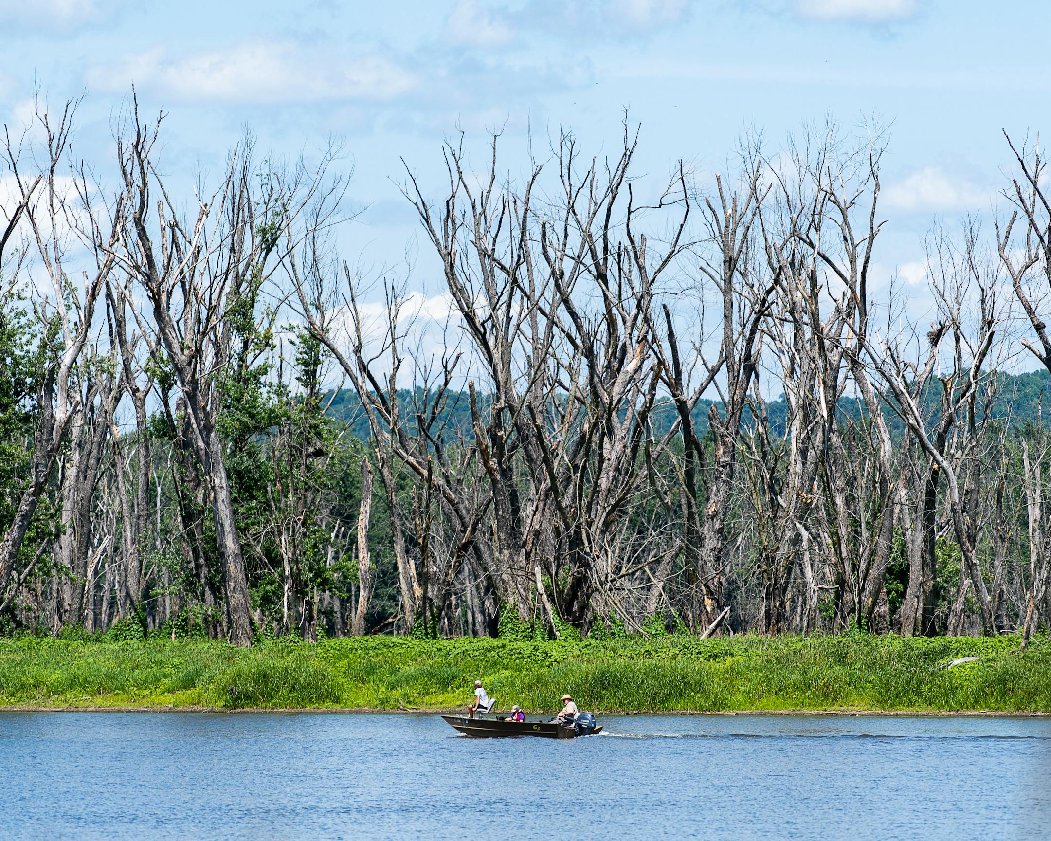 People fish at Reno Bottoms, a wildlife area in the backwaters of the Mississippi River, on July 18, 2023. Credit: Jovanny Hernandez, Milwaukee Journal Sentinel