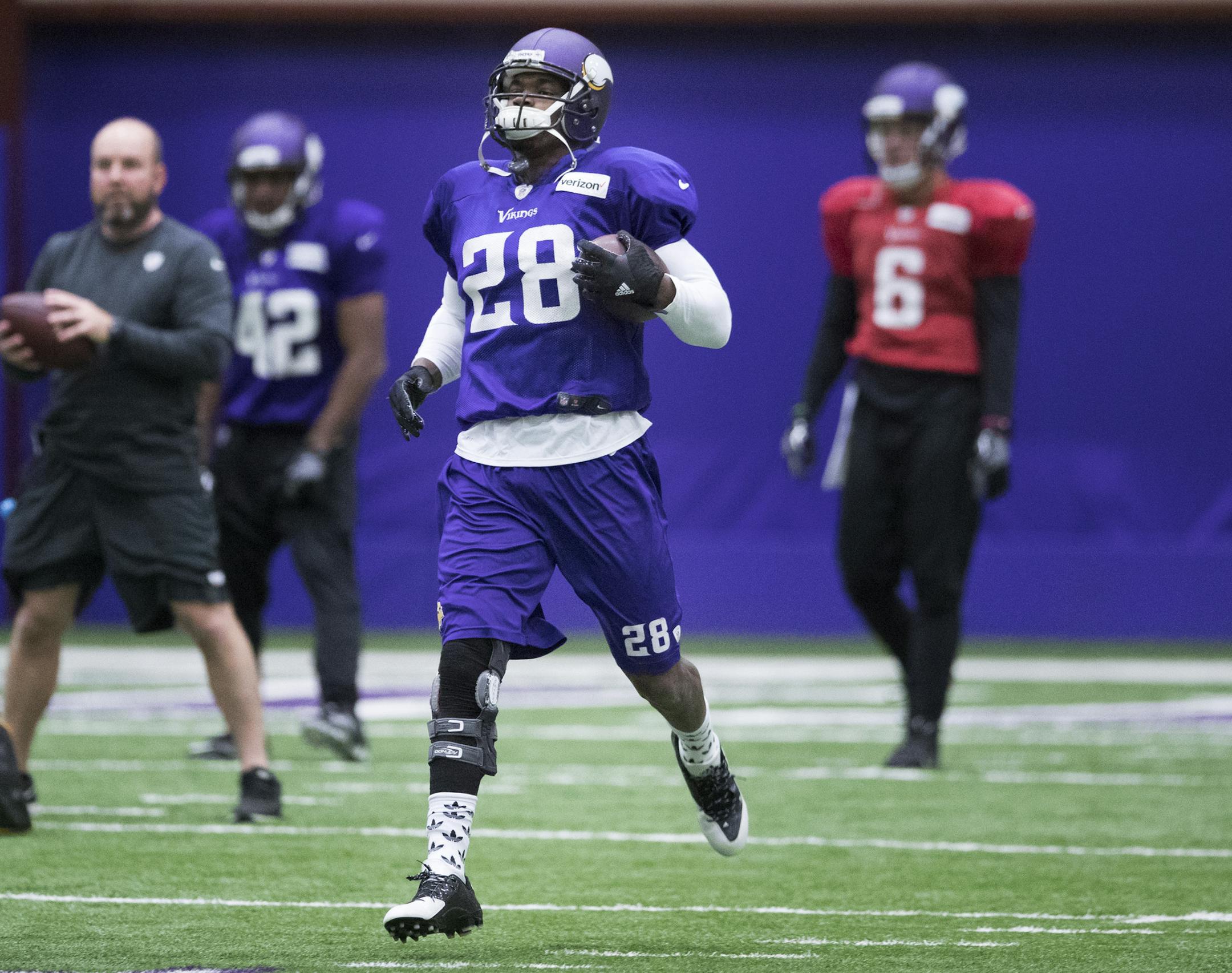 Minnesota Vikings running back Adrian Peterson (28) is back on the practice field at Winter Park Wednesday December 14,2016 in Eden Prairie, MN. ] Jerry Holt / jerry. Holt@Startribune.com