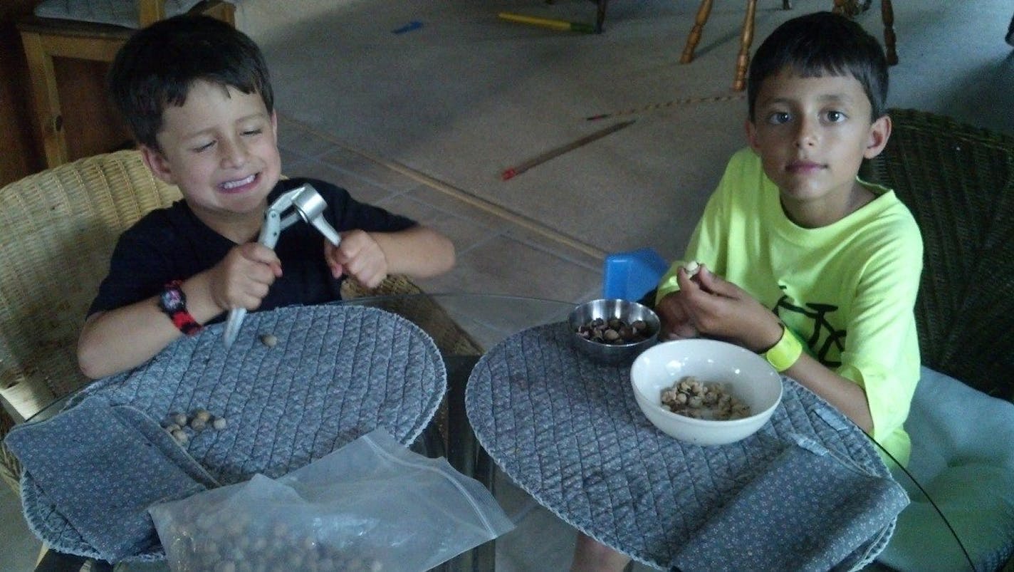 Amani, left, and Milan Gupta helped their mother, University of Minnesota Extension Service forestry educator Angela Gupta, make acorn pancakes.