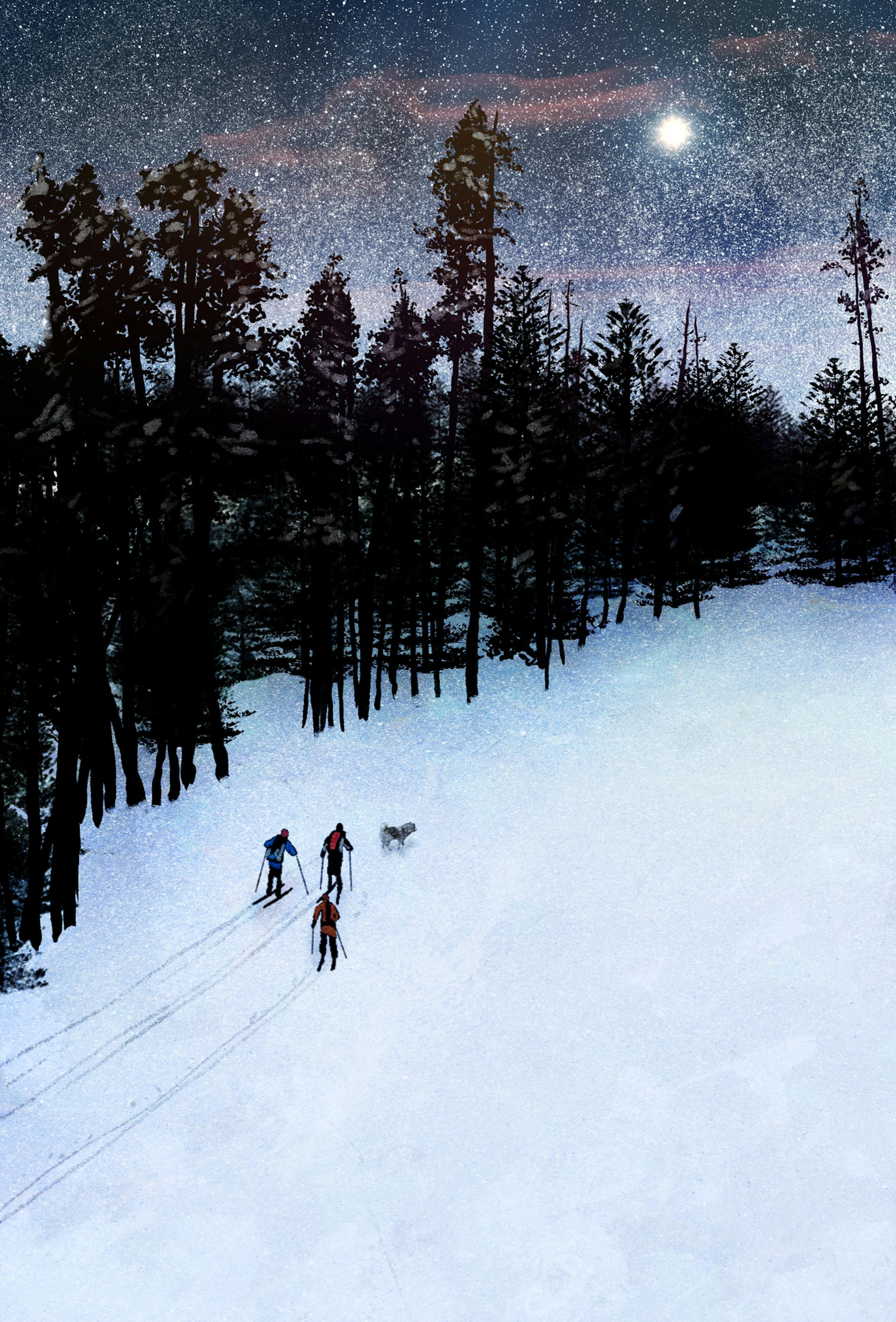 Illustration for 2014 holiday essay "Some Kind of Grace" by Margi Preus Illustration by Clay Rodery * Special to the Star Tribune