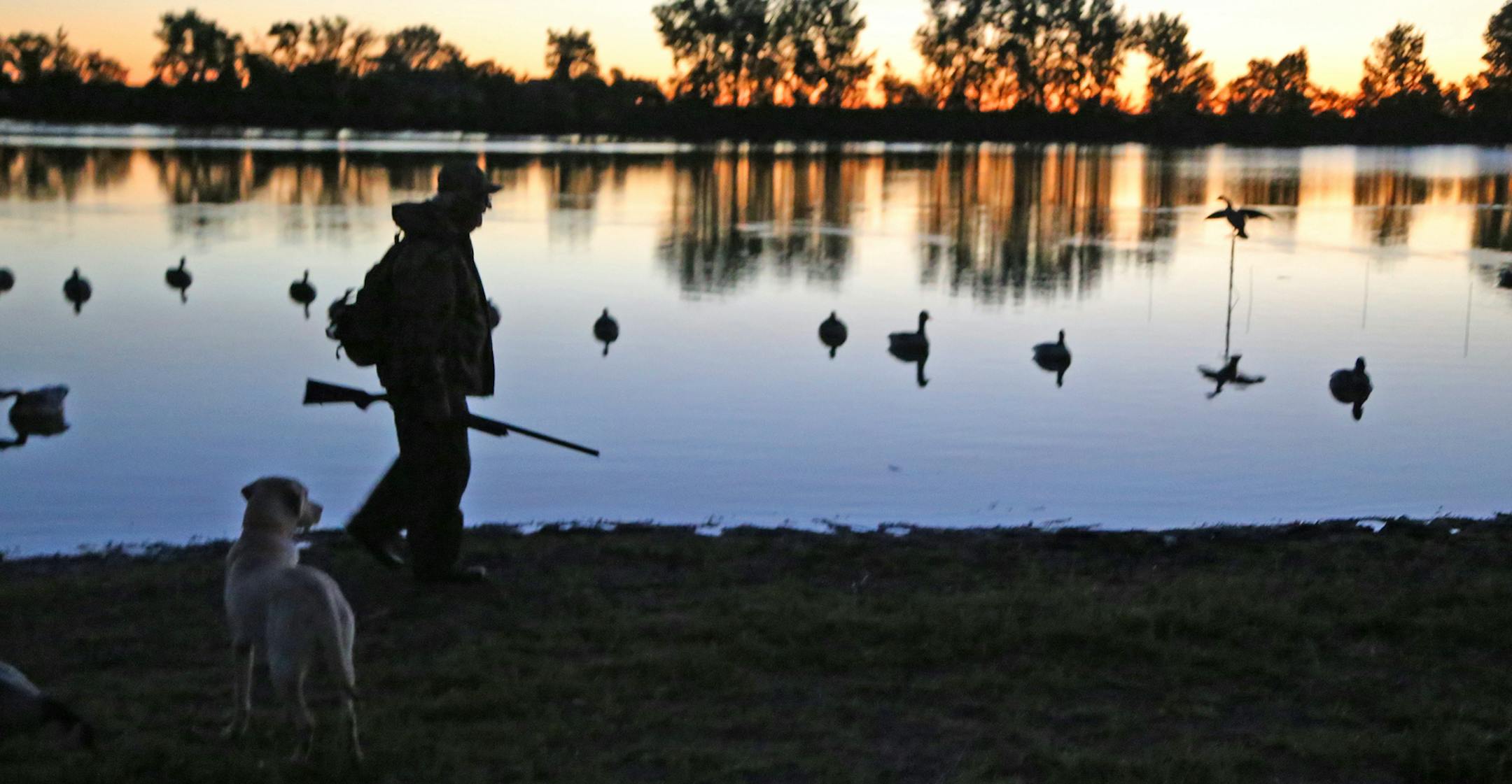 Gary Lunz of Mankato walked to his southern Minnesota goose hunting blind Saturday morning, opening day of the state's early honker season. It was his 74th consecutive waterfowl opener.