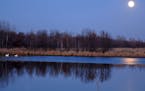 Discover the beauty and splendor of the parks at night.&#xa0; Each month Three Rivers Park District offers a variety of full moon programs your friend