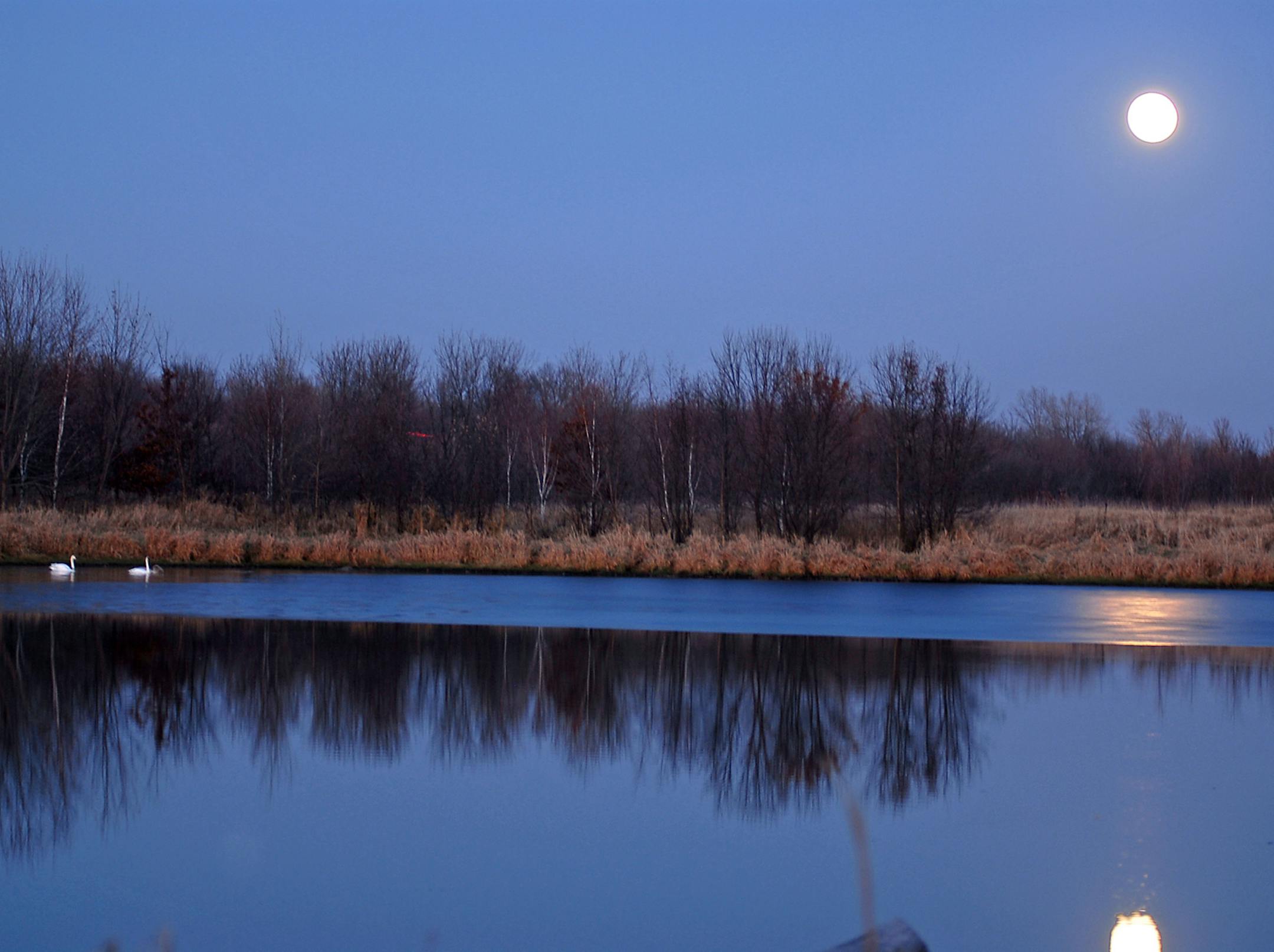 Discover the beauty and splendor of the parks at night.&#xa0; Each month Three Rivers Park District offers a variety of full moon programs your friends and family will enjoy.&#xa0; Take a naturalist led, hike and experience the nighttime sights and sounds of the forest or prairie.&#xa0; You can also canoe, kayak and SUP by the light of the moon.&#xa0; These programs are offered monthly throughout the metro and cost varies depending on activity.