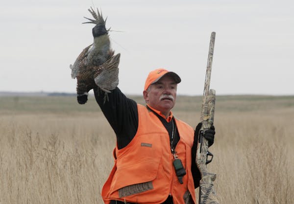 Jack Rendulich of Duluth shows off a rooster he bagged Saturday on the opening of the South Dakota pheasant season.