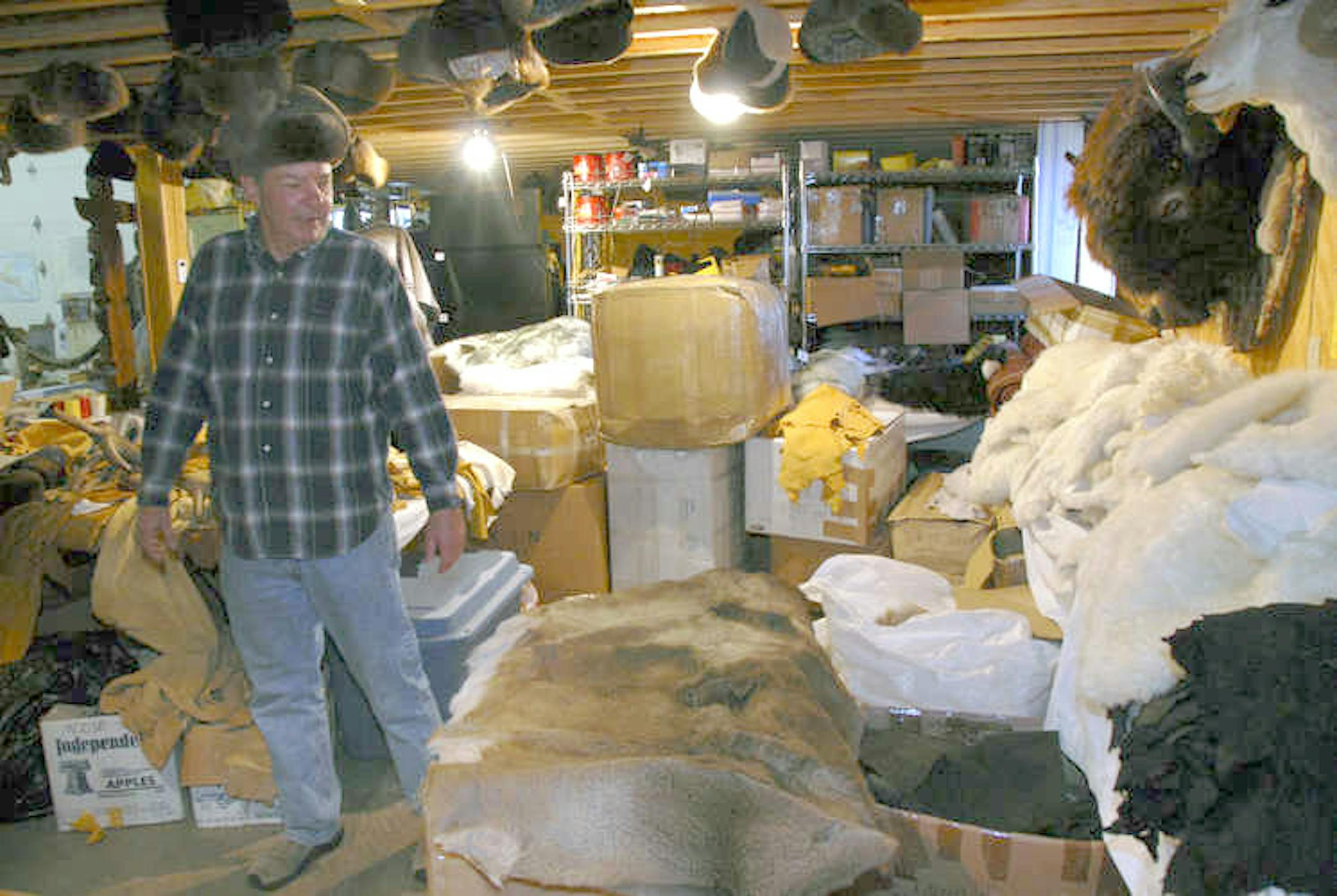 Jim Rosenwald, owner of North Star Fur, has hides of diferent animals, and much more, in his showroom in Marine n St. Croix.