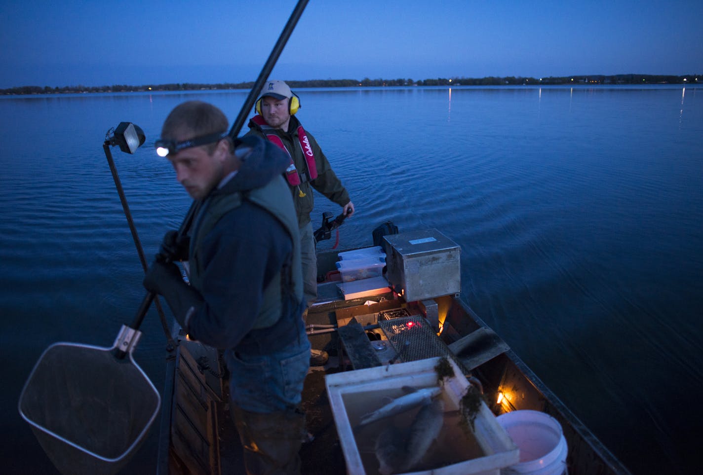 DNR fisheries research biologist Eric Katzenmeyer, right, steered a DNR electrofishing boat Tuesday night as volunteer Mitch Pulkrabek looked for stunned suckerfish to remove from the water with his net. ] (Aaron Lavinsky | StarTribune) aaron.lavinsky@startribune.com By the middle of this century, two-thirds of Minnesota's lakes will be too warm for cold water tulibee, the rich fatty fish that walleye and other game fish need to eat. The same is true for lake trout, burbot and other cold-water f