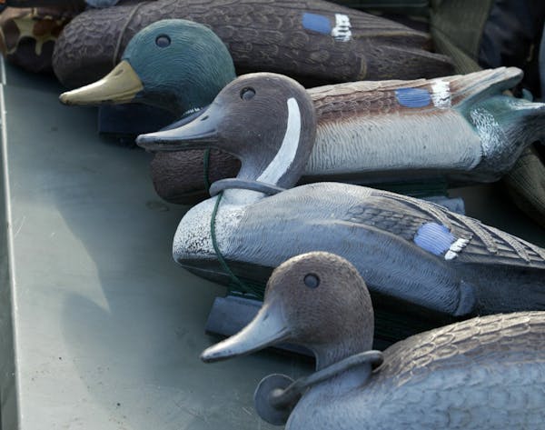 Decoys, the tools of the waterfowl trade.