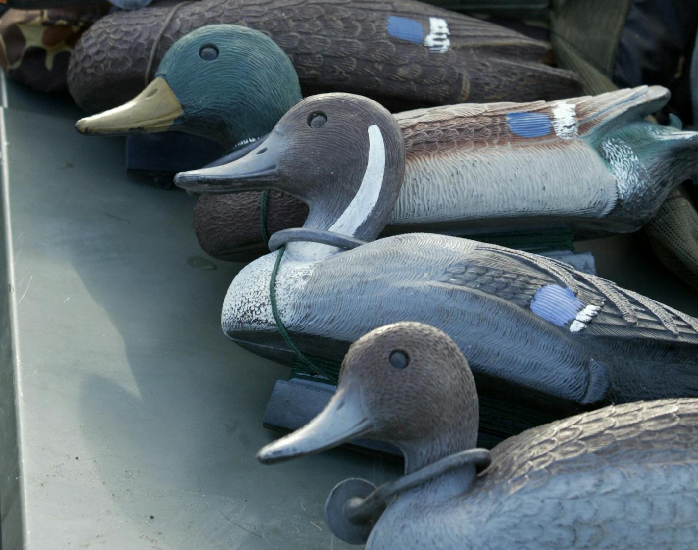 Decoys, the tools of the waterfowl trade.