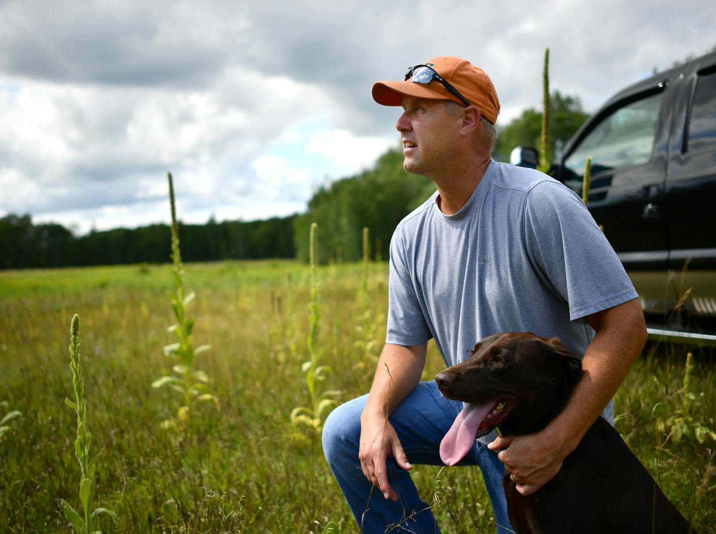 John Newpower, with Pheasants Forever, knelt down next to his 3-year old chocolate lab, Kiya while being interviewed Thursday on land purchased by Pheasants Forever and given to the DNR. ] (AARON LAVINSKY/STAR TRIBUNE) aaron.lavinsky@startribune.com The nonprofit Pheasants Forever has bought 200 prime acres of natural land in Anoka County and given it to the DNR to be part of the Carlos Avery Wildlife Management Area. We tour the land with John Newpower on Thursday, August 4, 2016.