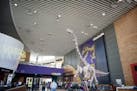 Water intrusion problems have affected the 370,000-square foot Science Museum of Minnesota since shortly after it opened.