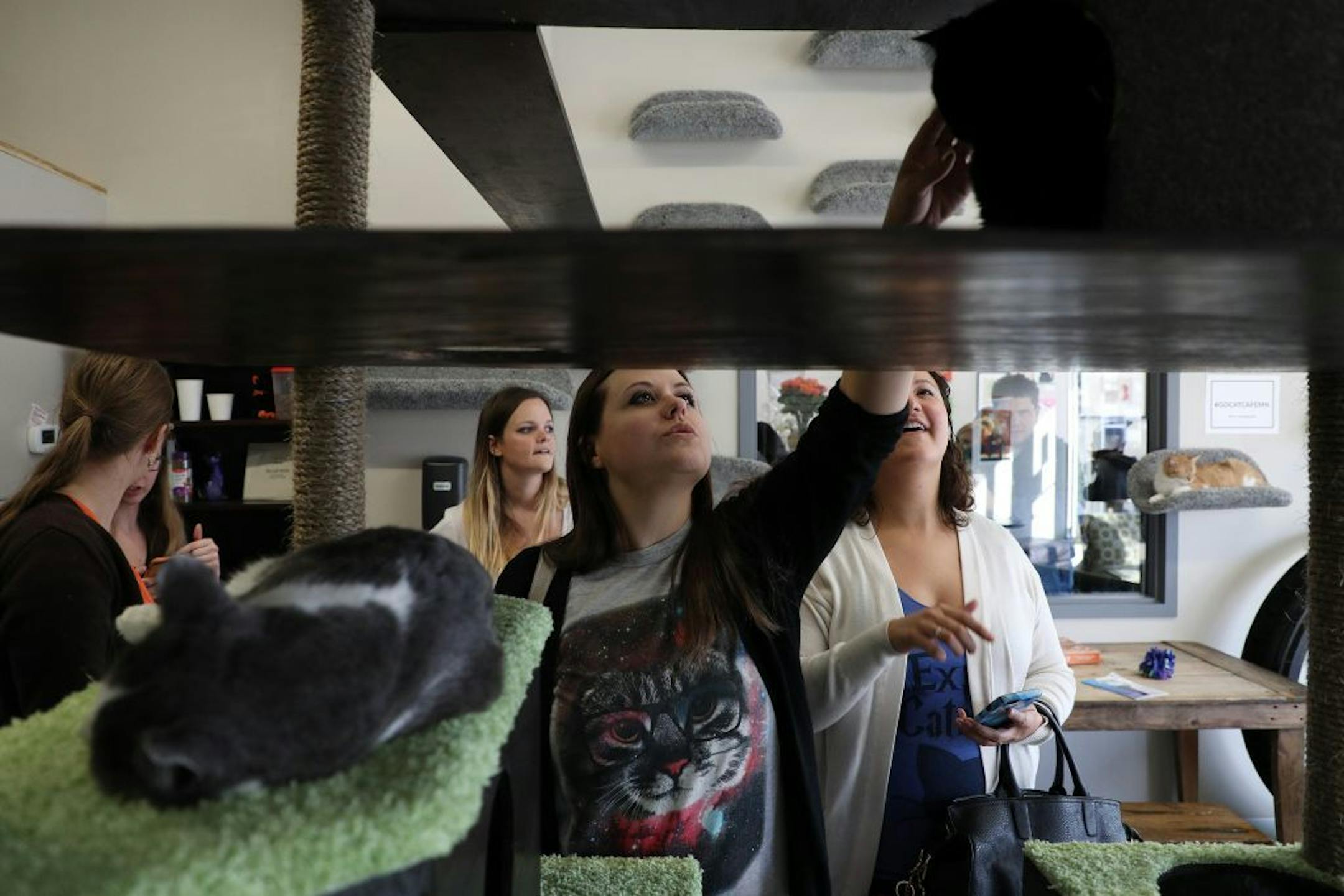 Jennifer Wojcicki, center, of St. Paul reached up to pet Frankie the cat Friday afternoon at The Cafe Meow.