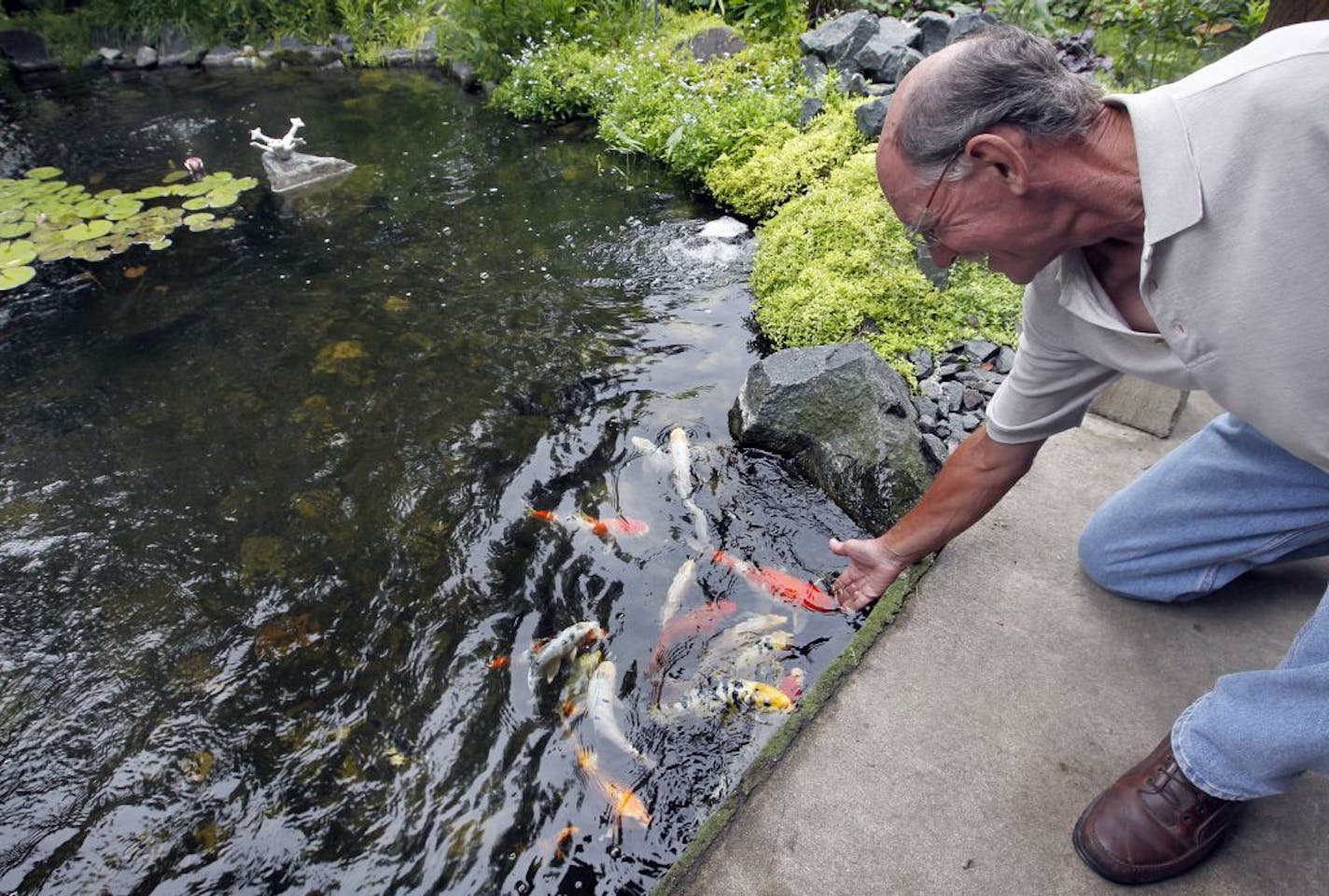 Gary DeGrande's koi pond abuts the patio. His garden is on the Garden Society pond tour July 30-31.