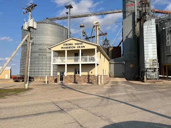 Strobel Farms on May 19, 2023, in Pemberton, Minn. The operator has filed paperwork in bankruptcy court in Delaware to force Canadian pork giant HyLif