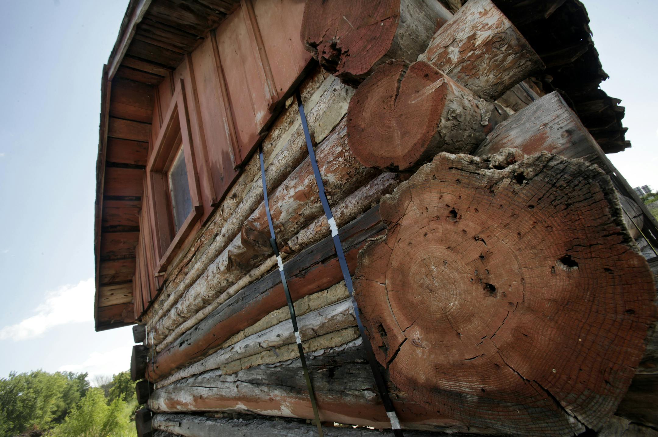 Irene Stemmer of Wayzata has saved its 19th century "Trapper's Cabin," moving the 1880s log building from its original site to restore the building and move it to a city park on August 7, 2013 in Wayzata, MN. ] JOELKOYAMA&#x201a;&#xc4;&#xa2;joel koyama@startribune Wayzata has saved its 19th century "Trapper's Cabin," moving the 1880s log building from its original site to restore the building and move it to a city park. The 12-by-15-foot cabin is thought to have been built in the 1880s when the