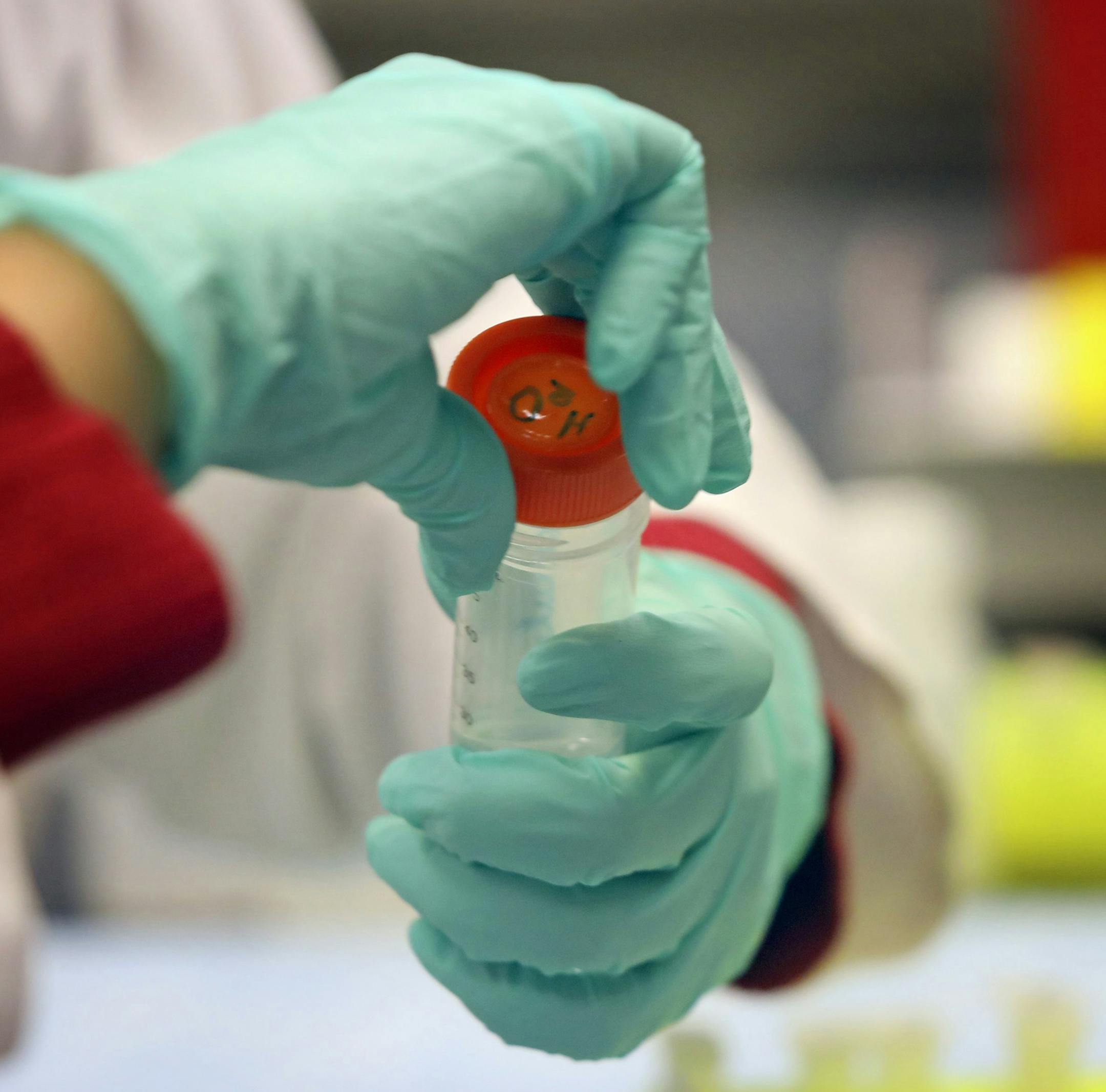 Berenice Bastien, an associate lab scientist at Nestle Purina's Research Center, prepares instruments for DNA extraction protocols on Friday, Oct. 13, 2017, in it's research and development lab at the St. Louis location. Nestle Purina has augmented its molecular nutrition science in recent years to develop pet foods that enhance physical and mental well-being in animals. (Christian Gooden/St. Louis Post-Dispatch/TNS) ORG XMIT: 1213443