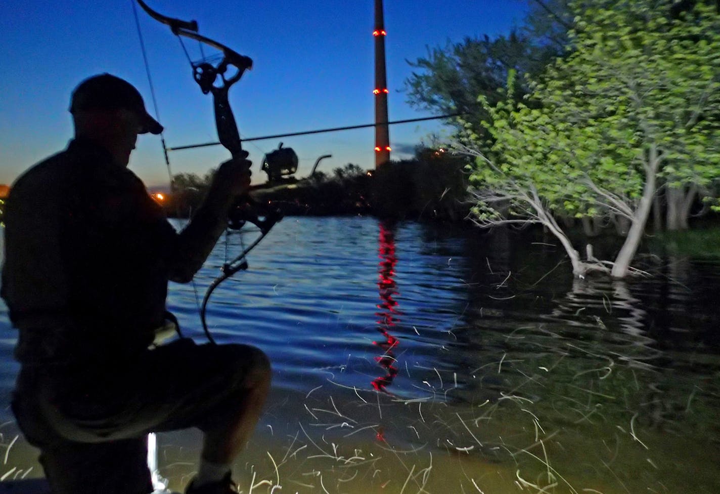 Ellenberg cruised the St. Croix River shallows near the Allen S. King power plant in Bayport, near where five invasive bighead carp were caught.