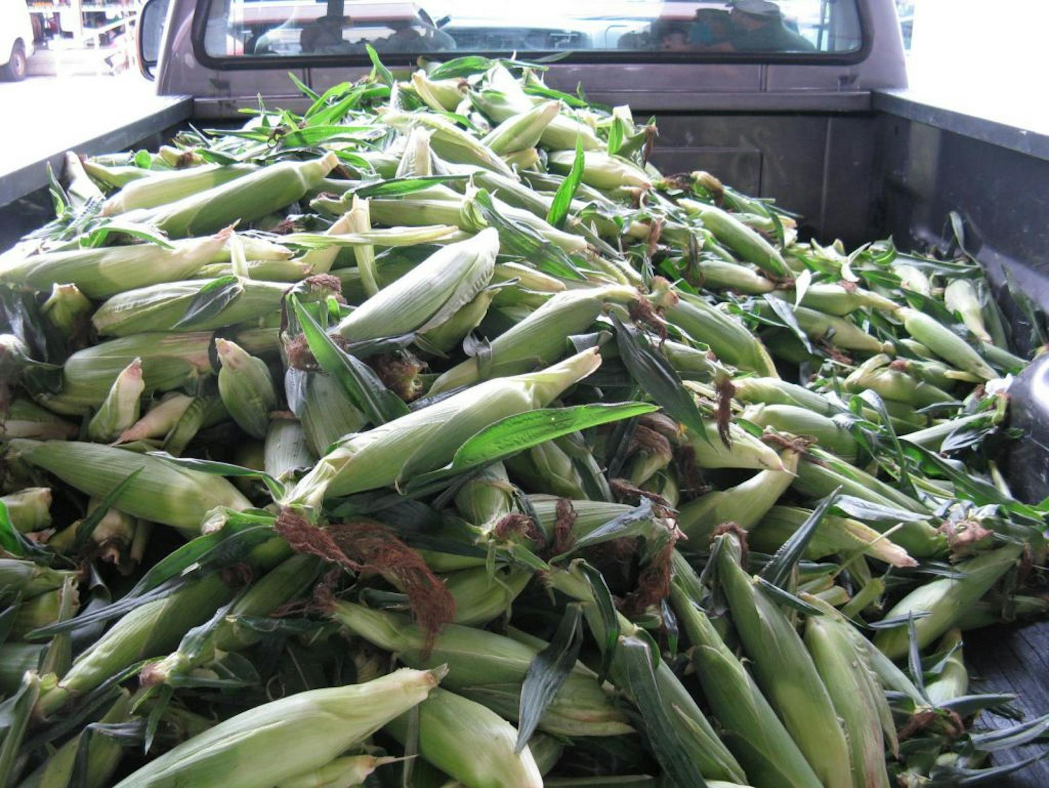 Sweet corn from Bill Brooks at the Minneapolis Farmers Market.