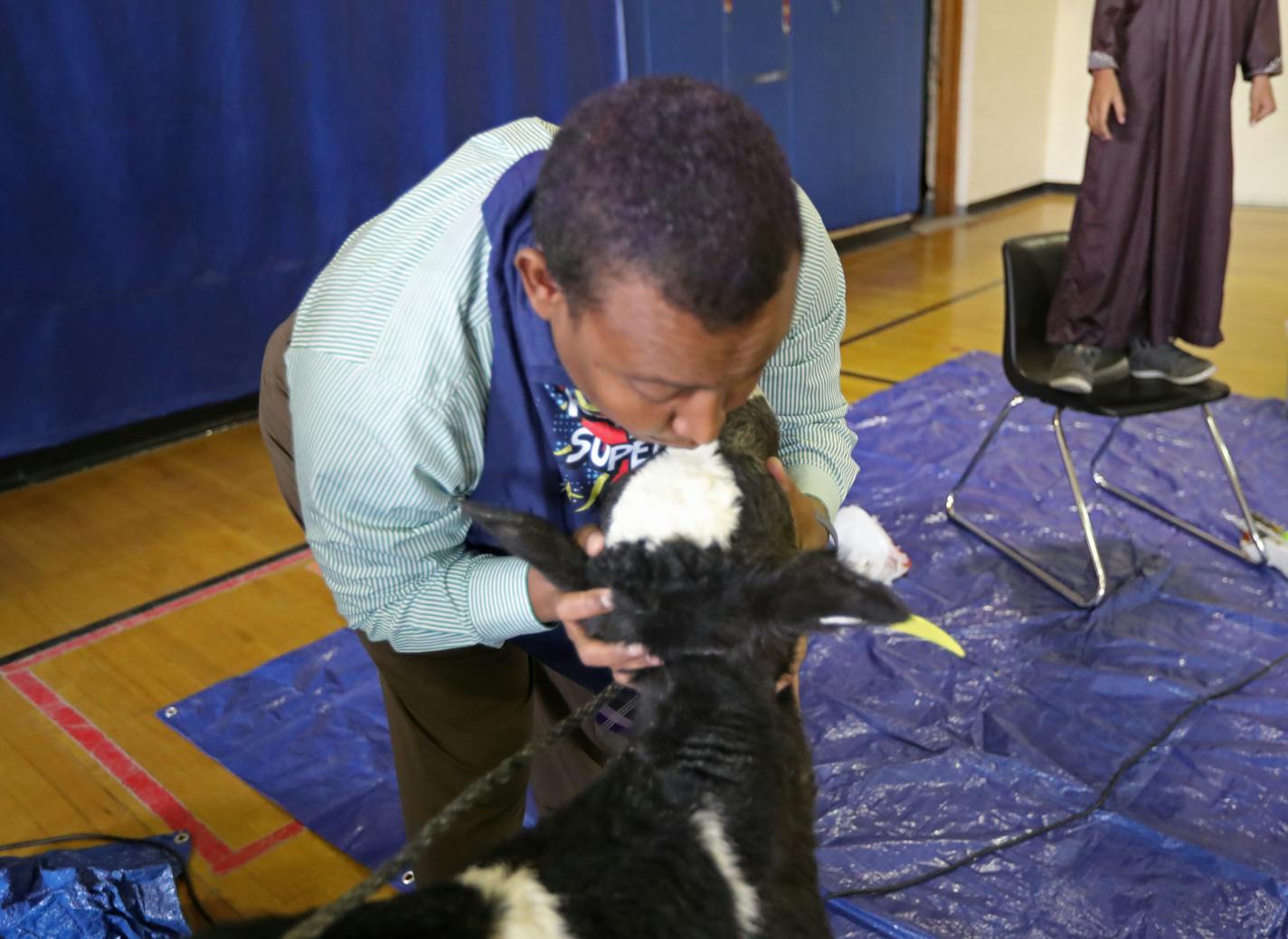 Mustafa Ibrahim, director of STEP Academy in St. Paul, kept his word that he would kiss a cow if students met their reading goal for the month of March. On the receiving end of the kiss was Rex the two-week old calf.