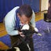 Mustafa Ibrahim, director of STEP Academy in St. Paul, kept his word that he would kiss a cow if students met their reading goal for the month of Marc