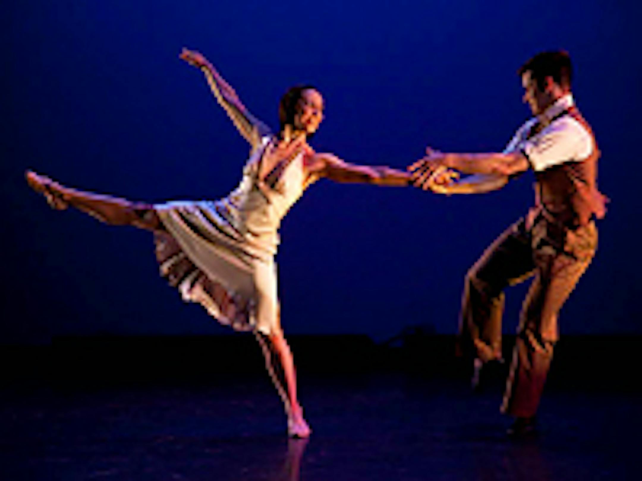 "Elegant Echoes"