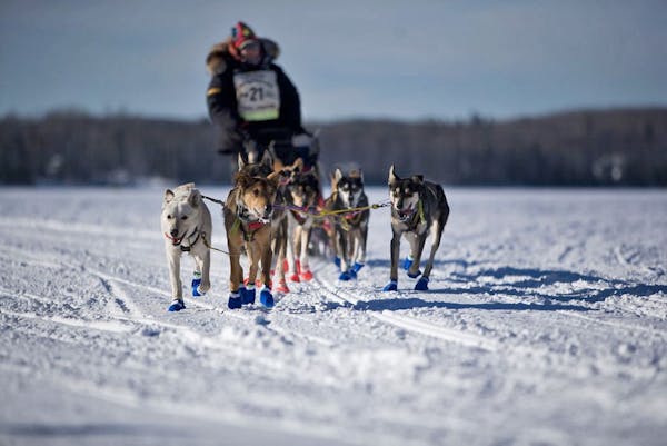 The John Beargrease sled dog race has been postponed until March.
