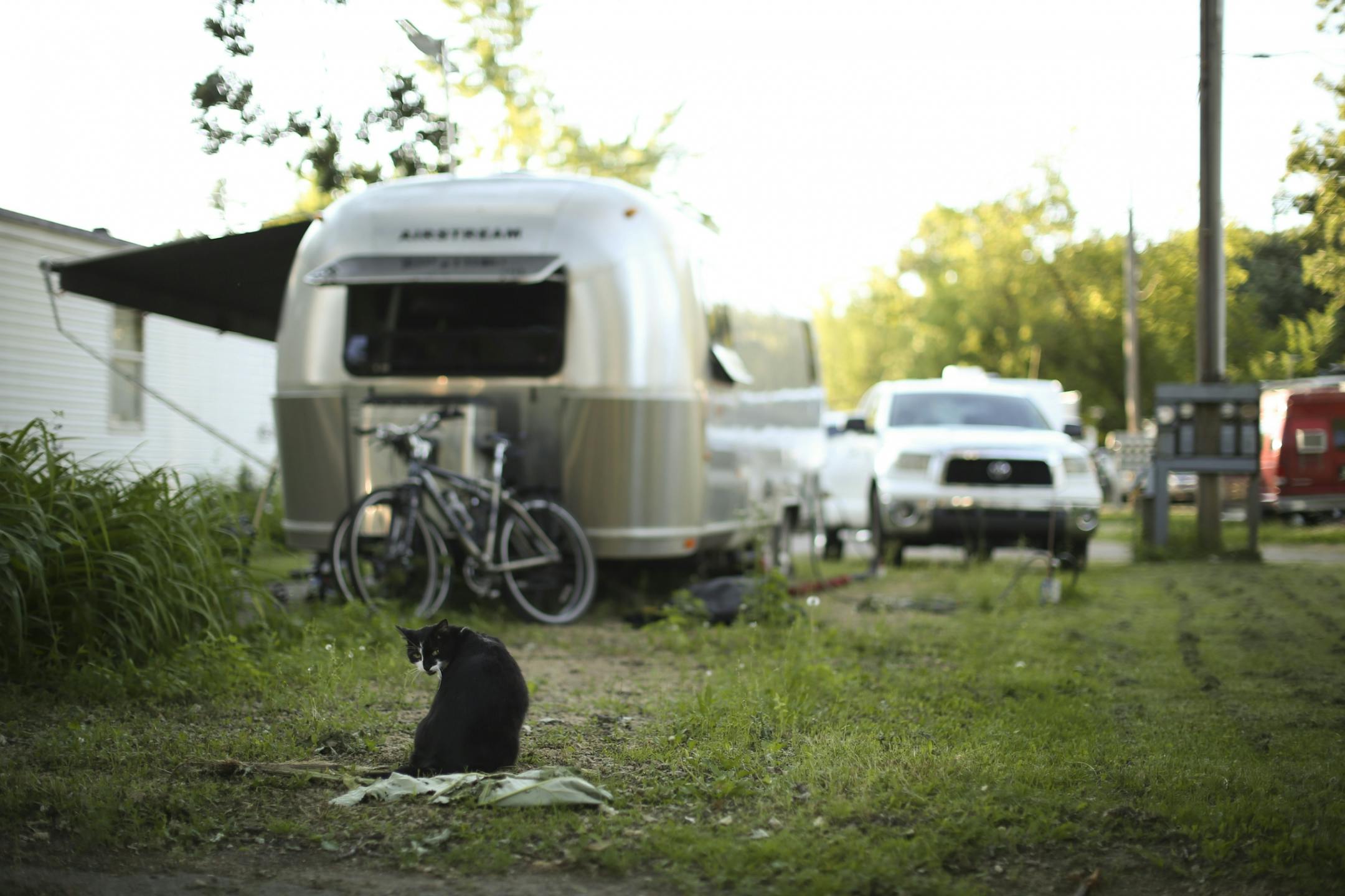 Lowry Grove mobile home park also a number of tenants who live there in RV's. This cat belongs to two brothers who are going to just stay the summer before heading back south with their trailer.