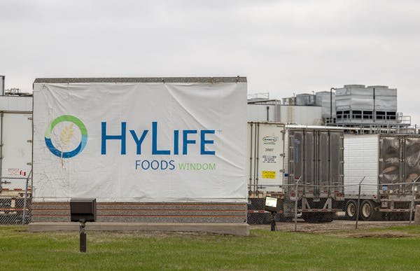 HyLife Foods employees make their way to the second shift at the pork processing plant in Windom on Wednesday, April 19.