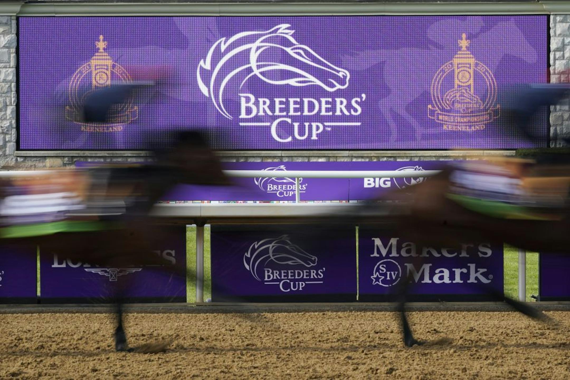 Horses pass a video board during a workout for the Breeders' Cup World Championship horse races at Keeneland Race Course Thursday, Nov. 5, 2020, in Lexington, Ky.