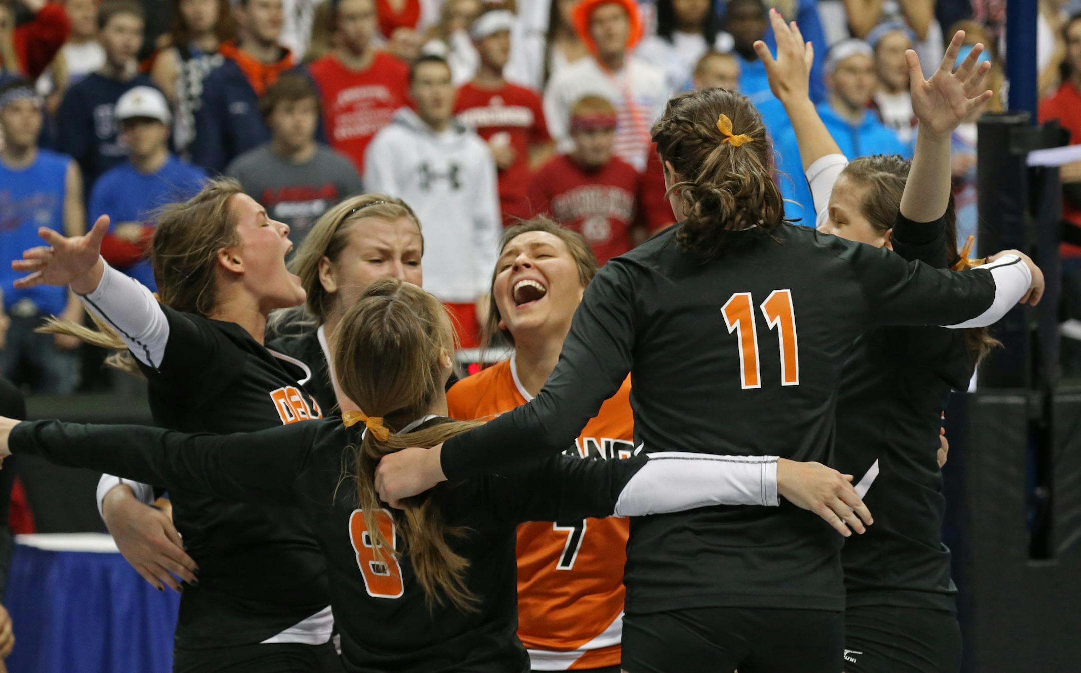 Minnesota State High School League Girls Volleyball State Tournament, 11/8/13, Xcel Energy Center. Class 3A state volleyball semifinals, Delano vs Osseo. Delano celebrated their win over Osseo to advance to the championship game.] Bruce Bisping/Star Tribune bbisping@startribune.com