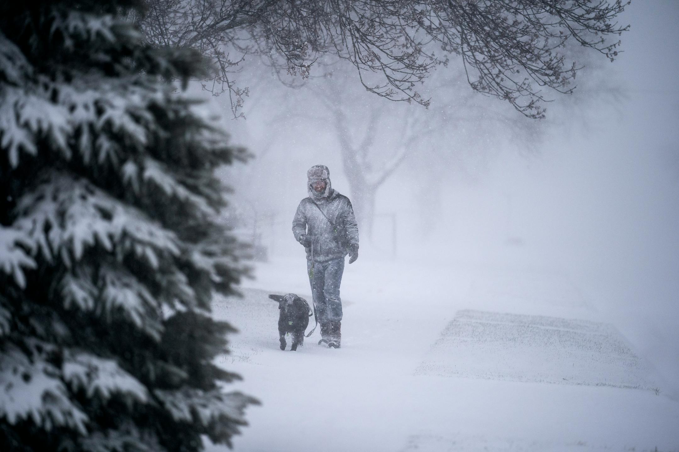 A man walked his dog in as heavy snow fell as blizzard like conditions hit Osseo and the Twins Cites on Wednesday, 5-9 inches of snow as expected.