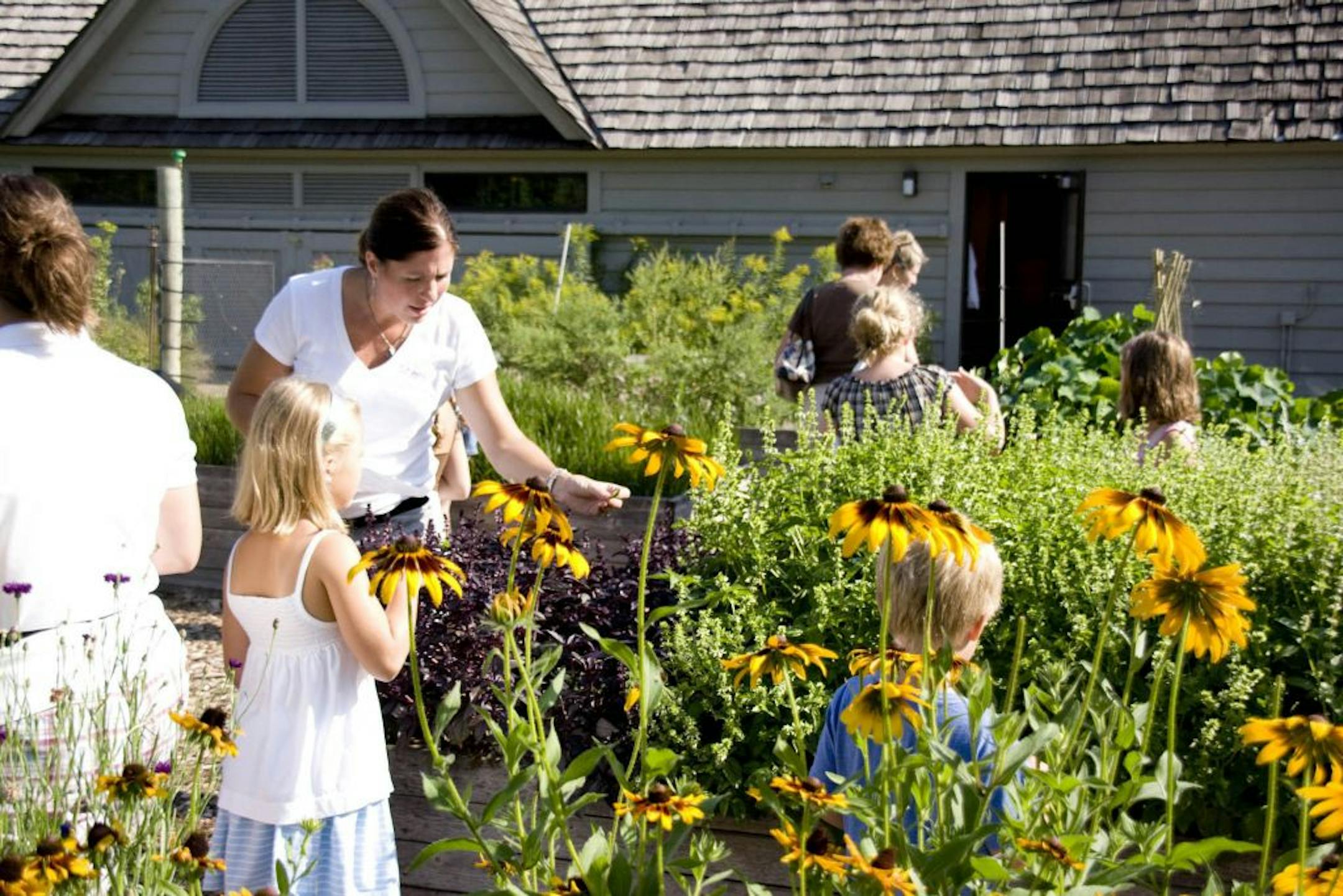 Minnesota Landscape Arboretum