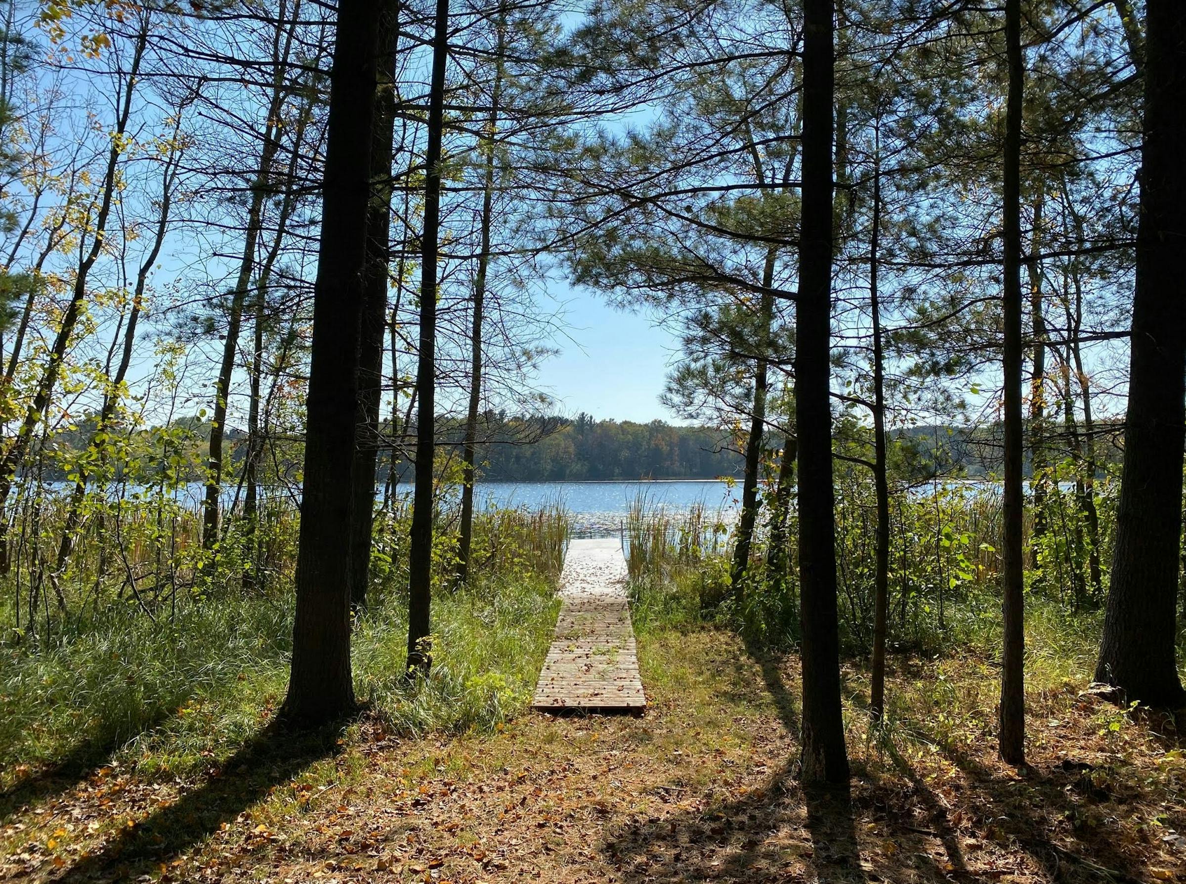 https://arc.stimg.co/startribunemedia/F232IFLFZPLJWIIHALBLGZGQHY.jpg?&w=1200&ar=1.91:1&fit=crop